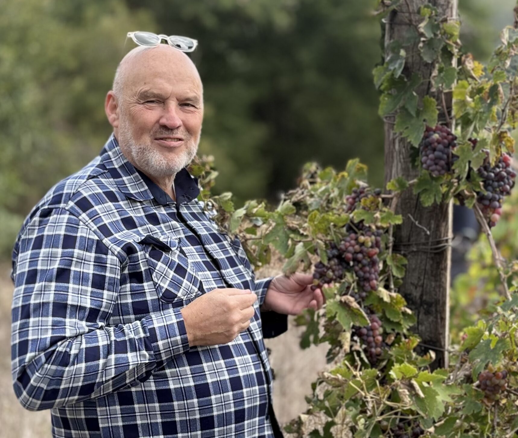 Catalyst winery people